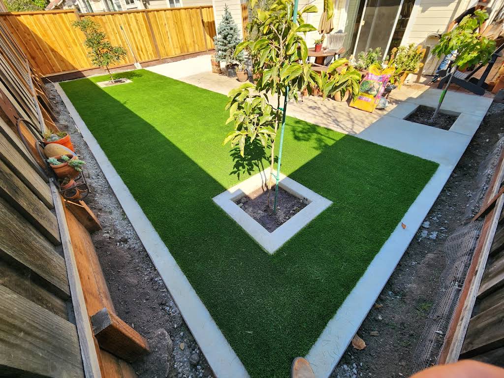 Finished landscape detail with clean concrete edging